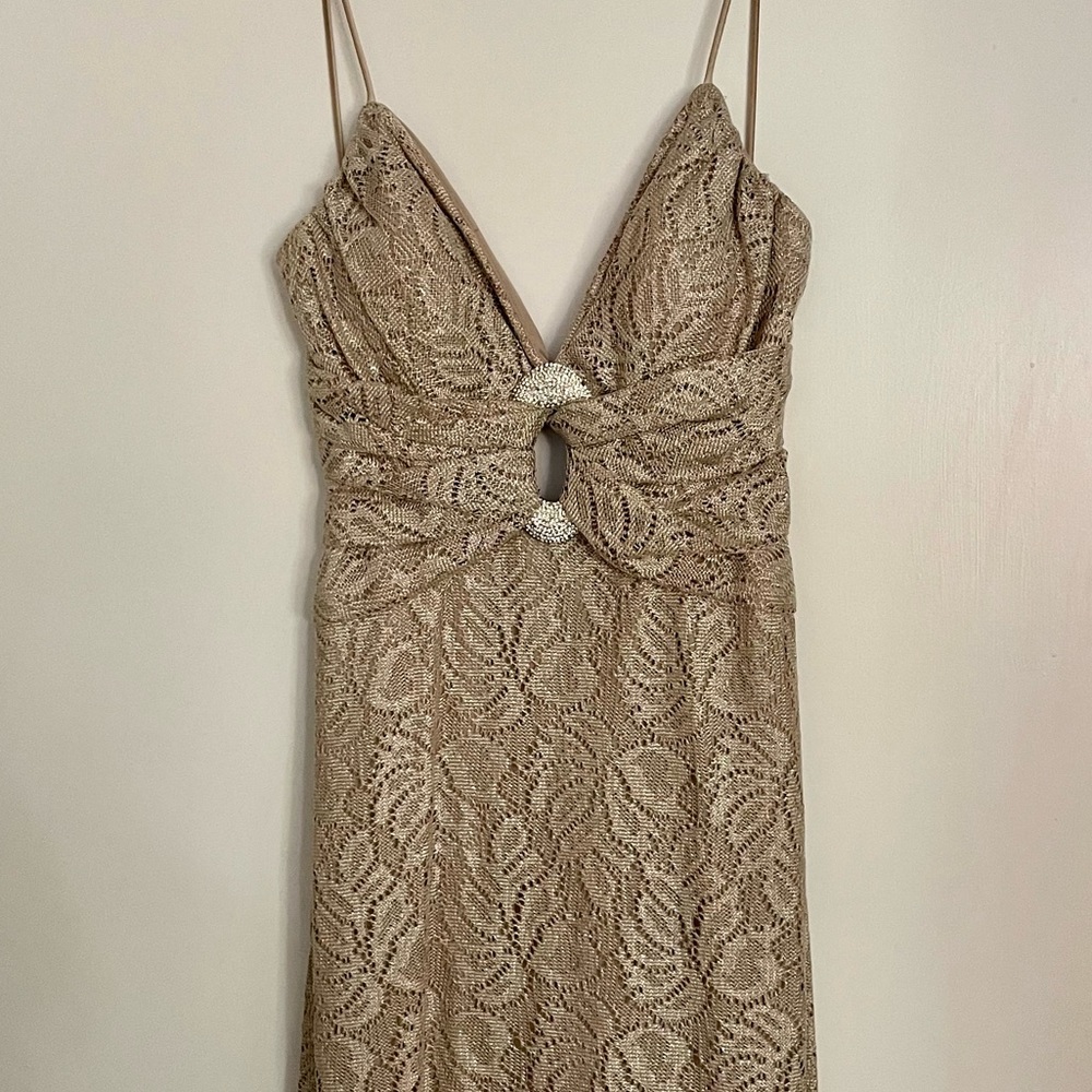 Betsy & Adam Nude Metallic Lace Long Dress